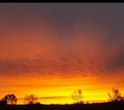 an orange and yellow sky with trees in the foreground at Sierra Sunset Cottage -Yosemite area vacation cottage in Ahwahnee