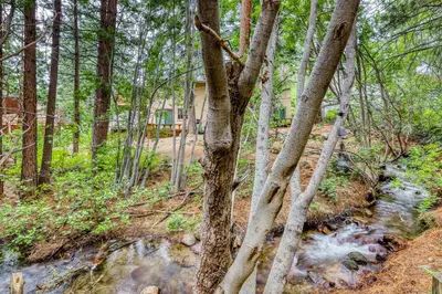 a stream in the woods next to a house at Inviting Tahoe Escape in Incline Village