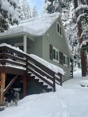 a dog standing in the snow in front of a house at Cabin #6 in Strawberry