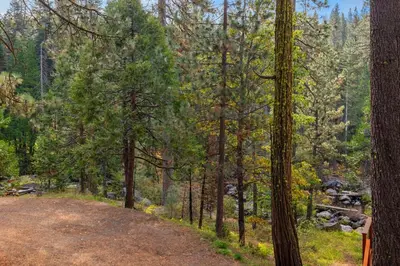 a dirt road in a forest with trees at Cabin #10 in Strawberry