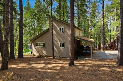 a small house in the middle of a forest at Bigfoot Cabin in Camp Connell