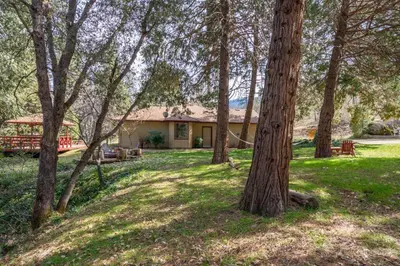 a house with a group of trees in the yard at Forest Cabin by China Creek in Oakhurst