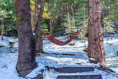 a hammock hanging between two trees in a snow covered forest at Red Rock Falls Cabin, 8 miles from Yosemite South Gate, with trailhead, Game Room and HotTub in Oakhurst