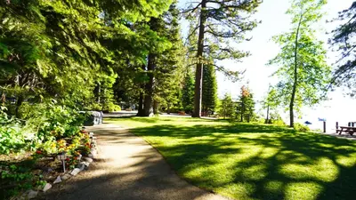 a path through a park with trees and a bench at Modern 3BR Tahoe Cabin with Hot Tub in Tahoe City