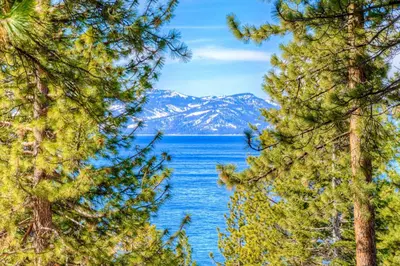 a view of a lake through the trees at Lakeview Hideaway in Kings Beach