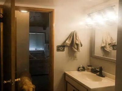a bathroom with a sink and a dog in it at Summer Escape Chalet with Pool Access in BLS in Arnold