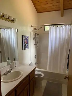 a bathroom with a sink and a toilet and a shower at Gorgeous cabin in BLS with EV Chgr, Pool Access and Gameroom in Arnold