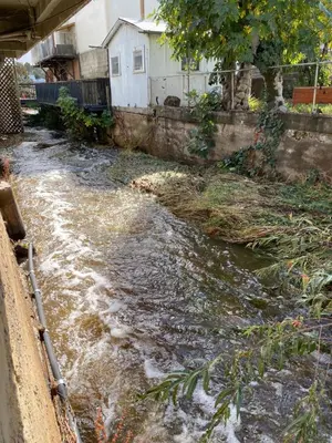 a stream of water in a yard with a house at Spacious Downtown Jackson Retreat- Historic Hangout in Jackson
